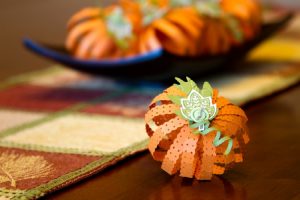 Seasonal Gift Ideas