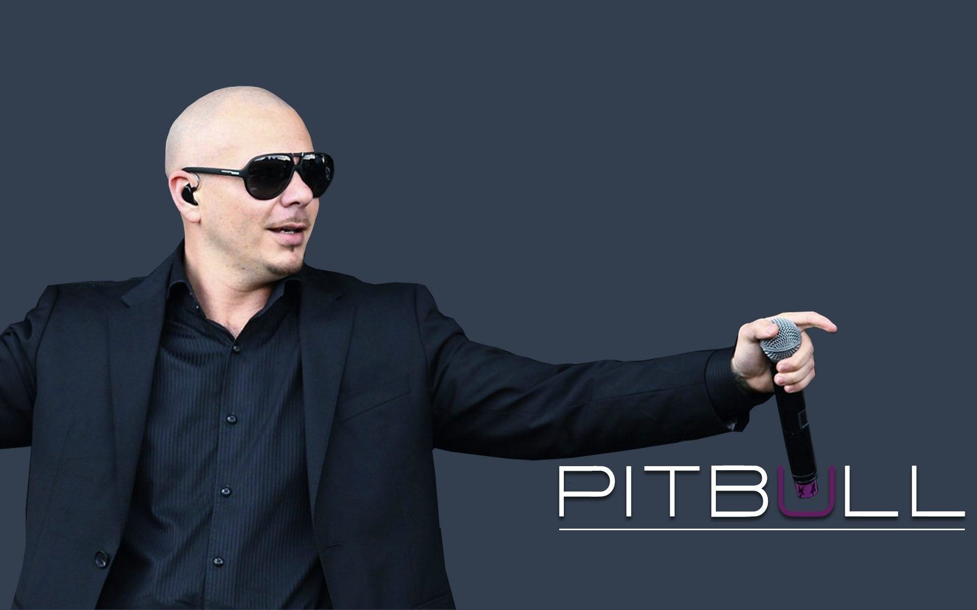 Pitbull Net Worth