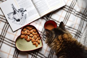 Cats Eat Almonds