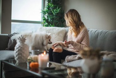 play with pets