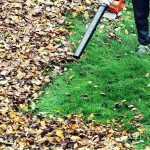 yard clean up yourself