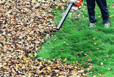 yard clean up yourself