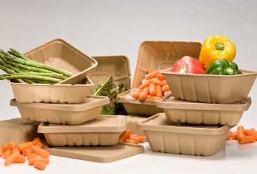 Plastic Alternatives