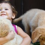 Friendly Dog Breeds