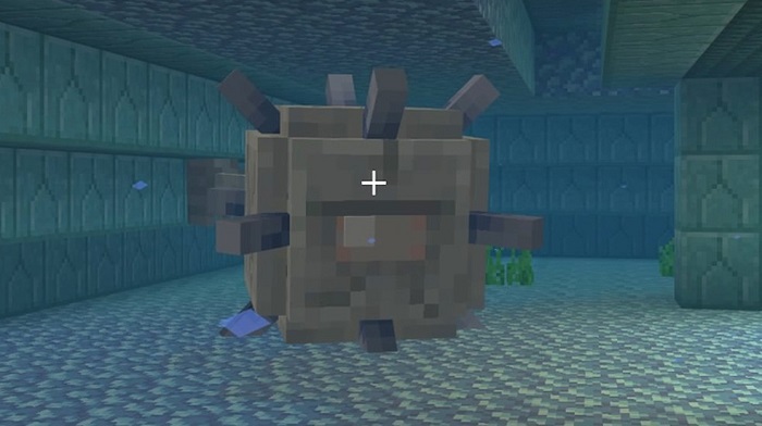 How to get sponges in minecraft