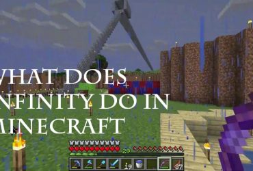what does infinity do in minecraft