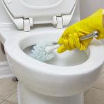 Try if Your Toilet Gets Clogged