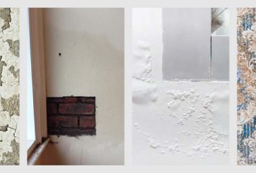 remove moisture from walls