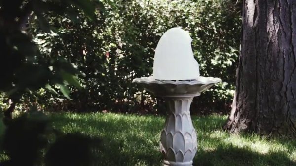 auto fill bird bath