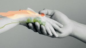 Do Autistic Babies Move Their Hands a Lot: Supporting Autistic Babies