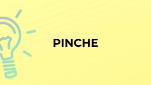Pinche as an Insult