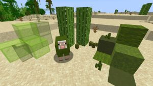 The Humble Cactus: Your Gateway to Green