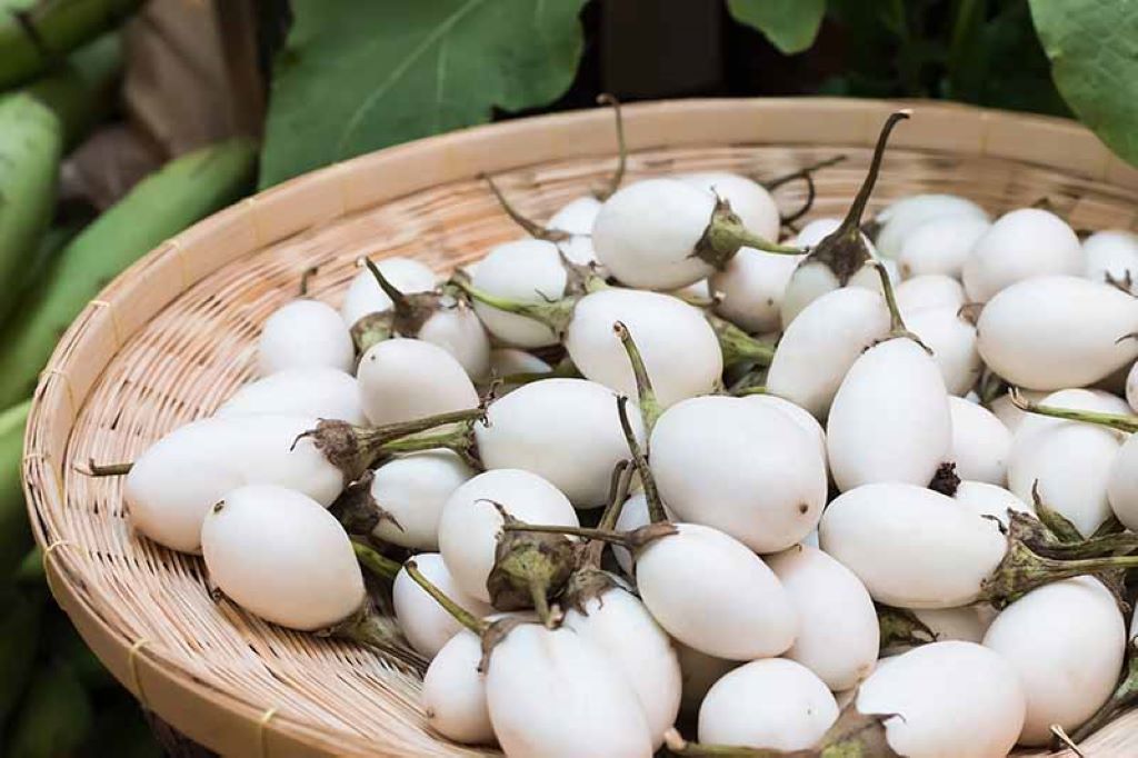 Visual Indicators Of Ripeness