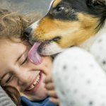 How do pets increase socialization?