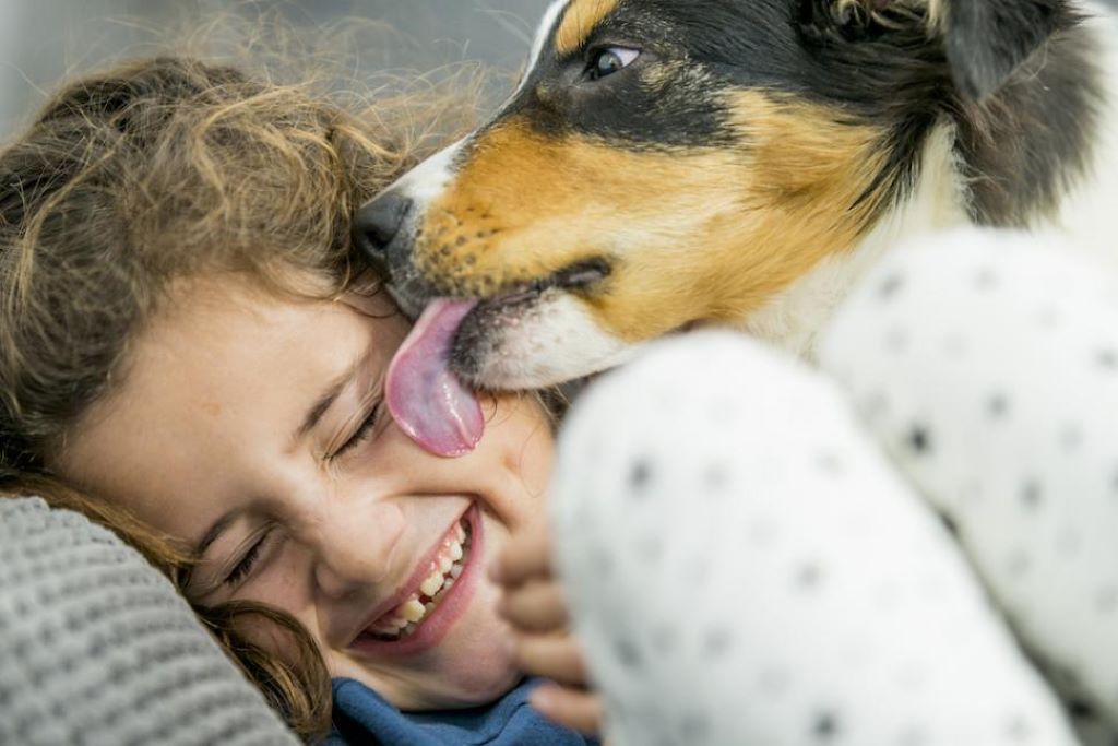 How do pets increase socialization?