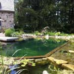 Why You Should Consider a Natural Swimming Pool