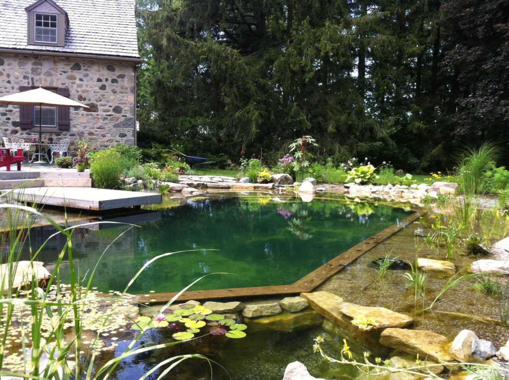 Why You Should Consider a Natural Swimming Pool