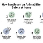 Applying antiseptic to a minor animal bite