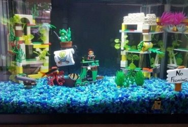 Freshwater aquarium with affordable decorations, colorful plants, rocks, and driftwood creating a unique underwater display in Arizona