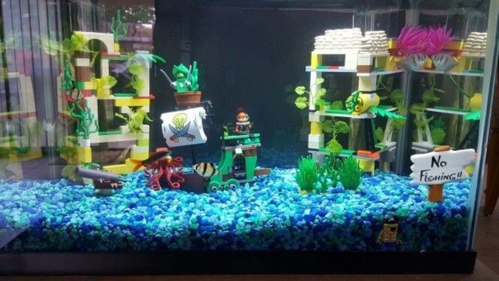 Freshwater aquarium with affordable decorations, colorful plants, rocks, and driftwood creating a unique underwater display in Arizona